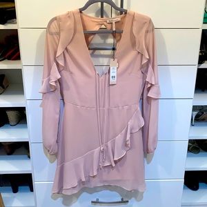 BCBGgeneration NWT Light Pink Long Sleeve Sheer Dress